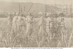 Harriott story historical documents 1280x853