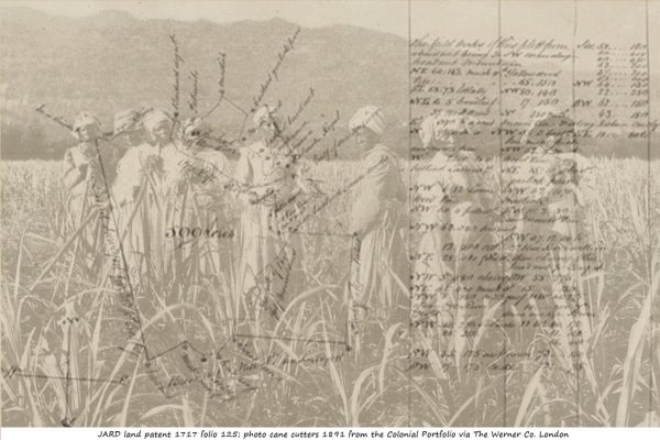 The History of the Harriotts Told Through Historical Documents