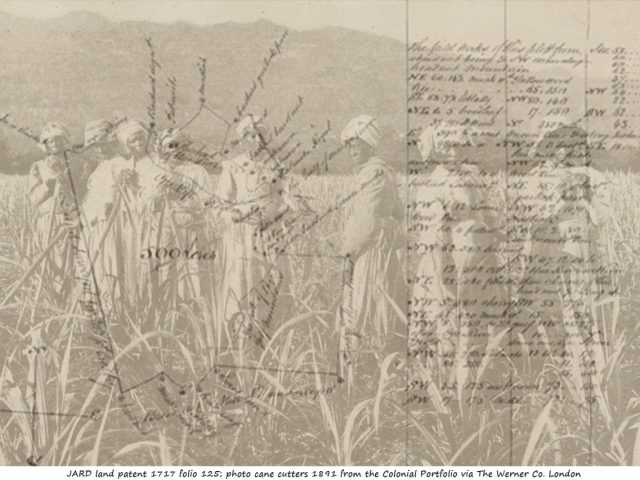 The History of the Harriotts Told Through Historical Documents