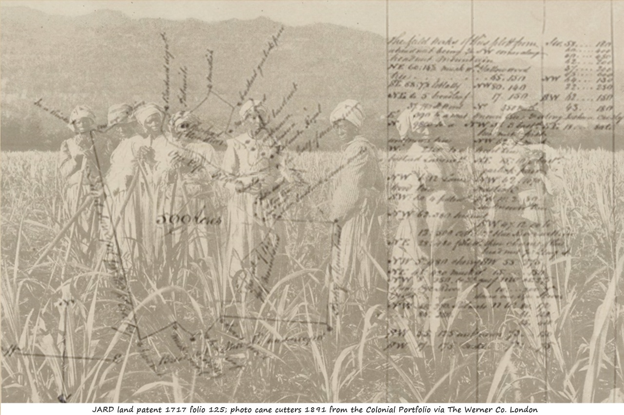 The History of the Harriotts Told Through Historical Documents